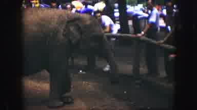 Kansas City Missouri (1959): The Biggest Creature That Board A Peaceful Life