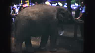 Kansas City Missouri (1959): Two Young Boys In Bucket Bewildered And Scared By