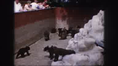 Kansas City Missouri-1959: A Day At The Zoo With Bears And A Woman Feeding Deer