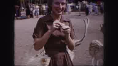 Kansas City Missouri-1959: Woman Feeds Deer At Zoo In Vintage 8mm Home Movie