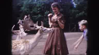 Kansas City Missouri-1959: Family Feeding Deer at Park