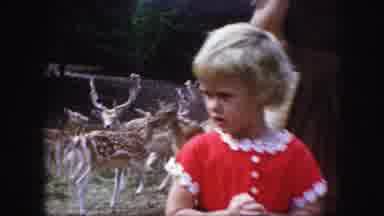 Kansas City Missouri (1959): This Is A Swan Celebration And A Little Girl Afraid