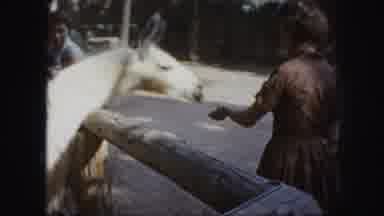 Kansas City Missouri (1959): Mama And Child Feeding Llama