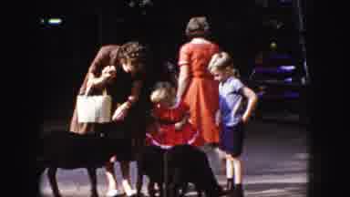 Kansas City Missouri (1959): The Human Family Shares Treats With The Canine Family