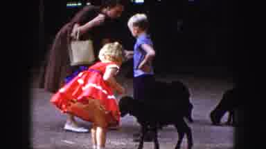 Kansas City Missouri (1959): Girl Boy Feeding Deer In Park While Parent Watches