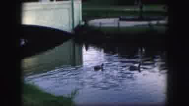 Kansas City Missouri (1959): A Park Where A Child Is Feeding And Looking At Geese