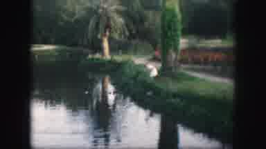 Kansas City Missouri (1959): Little Girl On Shore Of Lake Throws Food To Duck