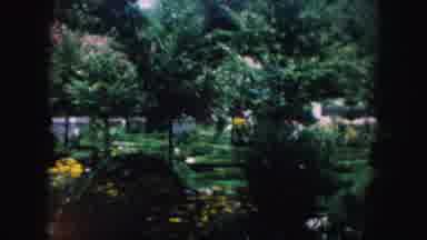 Kansas City Missouri (1959): The View Of Trees And Plants In A Garden Of A House