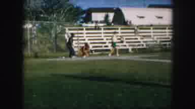 Kansas City Missouri (1959): Group Of People Playing Baseball In A Park On A Sunny