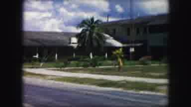 Kansas City Missouri (1959): View Of Raised Houses And Palm Trees On A Residential