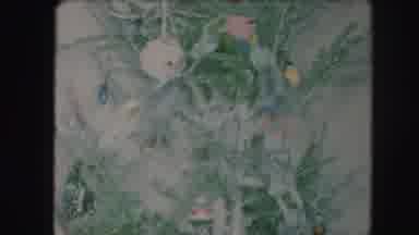 Kansas City Missouri (1959): Vintage Film Of Plants And Flowers With A Hand