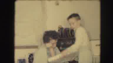 Kansas City Missouri (1959): Peacock Bird Free Roaming Zoo Grounds Showing Plumage