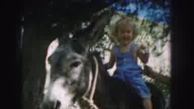 KANSAS CITY MISSOURI-1959: Little Girl And Boy Riding Donkey With Mother