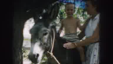 Kansas City Missouri (1959): Woman With Children On Donkey