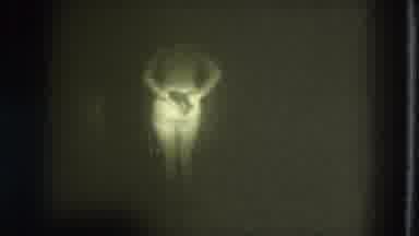 San Francisco California (1975): Woman Skinny Dipping