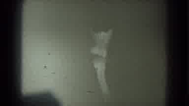 San Francisco California (1975): Woman Dancing At A Men's Club With Her Back