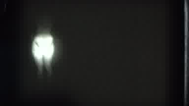 San Francisco California (1975): A Picture Of What Looks Like A Rabbit