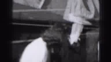 Harrisburg Pennsylvania USA (1975): Baby Looking At Mom Change The Cloths On One