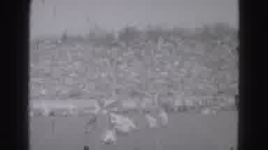 Harrisburg Pennsylvania USA (1975): Quarterback Drops Back To Pass Football Down