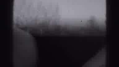 Harrisburg Pennsylvania USA (1975): Packed Arena Of Fans Watch An Exciting Game Of