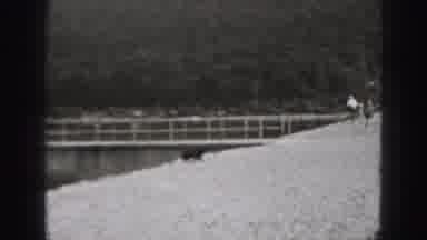 Harrisburg Pennsylvania USA (1975): Black Dog Walks Up Snow Covered Hill To Woman