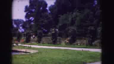 Washington DC (1975): A Well Landscaped Yard With A Closeup Of Roses And A Pond