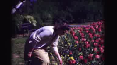 Washington DC (1975): Young Woman Kneels To Sniff A Rose As She Shows Off Her