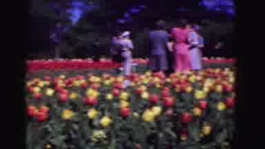 Washington DC (1975): A Bunch Of Friends Gathering At The Beautiful Tulip Garden