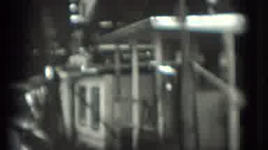 Washington DC (1975): Woman Stands And Looks At What Appears To Be An Empty Animal