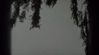 Washington DC (1975): Plane Flies Over A White Building And Open Lawn Flagged By