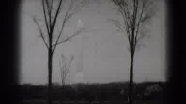 Washington DC (1975): Lonely Trees In A Dark World