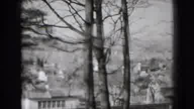 Washington DC (1975): Panoramic Shot Of Forest In Black And White