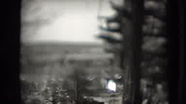 Washington DC (1975): Tall Barren Trees With Large Empty Field And Small House
