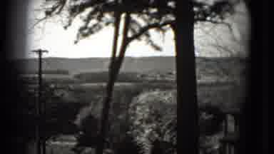 Washington DC (1975): It Is The Most Wonderful Place In The Forest Area