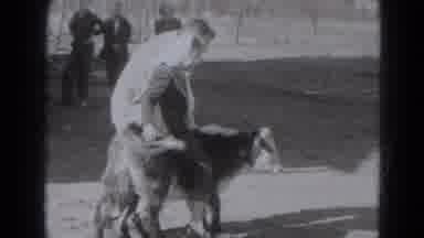 Lincoln Nebraska (1975): The Kids Was Ride With The Animal