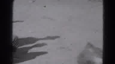 Lincoln Nebraska (1975): The Animal Scares Everyone Who Lives There