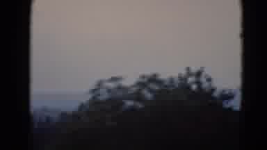 Middletown Pennsylvania (1975): A Camera Was Shut In A Forest Some Beautiful