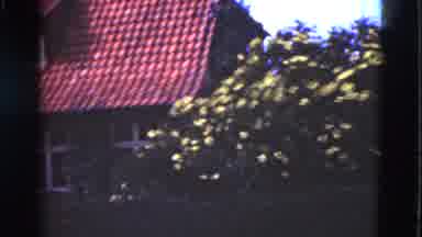 Denmark (1975): The Leaves And The Trees And The Leaves Are Beautiful