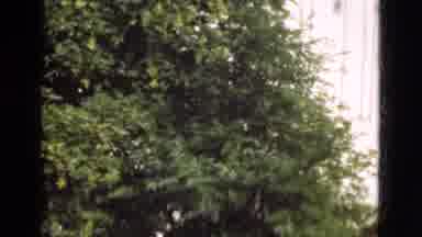 Denmark (1975): Neighborhood Scenery Trees Blowing Windy Day Nostalgic Empty Walk