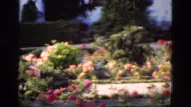 Denmark (1975): Camera Panning A Cemetery In Warm Weather With Flowers Growing