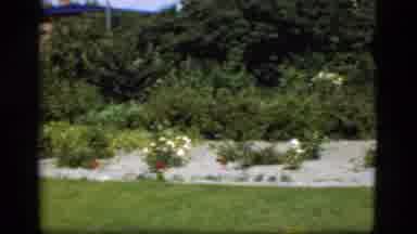 Denmark (1975): A Lady Carries A Bucket Beside A Dog In A Well Landscaped Yard