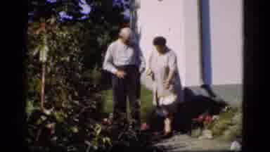 Denmark (1975): The Dog Playing In The Garden With Their Owner