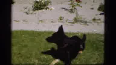 Denmark (1975): Old Home Video Of A Large White House And A Black K-9 Dog