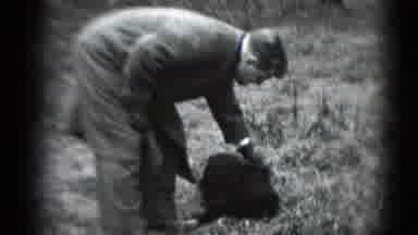 Middletown Pennsylvania (1975): Walking In Forest With New Dog