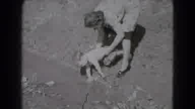 Middletown Pennsylvania (1975): Woman Helps A Young Boy Get Back Up After He Laid