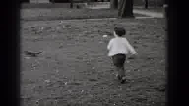Middletown Pennsylvania (1975): A Little Boy Chasing A Squirrel In The Park