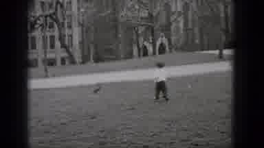 Middletown Pennsylvania (1975): A Little Boy Chasing A Squirrel