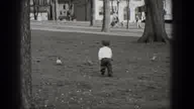 Middletown Pennsylvania (1975): Little Boy Chasing Multiple Scared Ducks In A