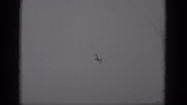 Middletown Pennsylvania (1975): Bird Flying Up High In The Sky