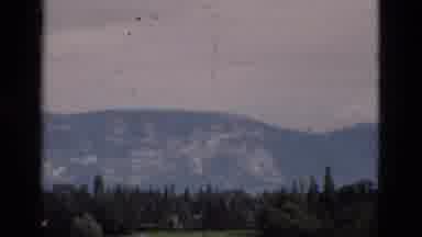 Portugal (1975): Forest Full Of Tall Green Trees Large Mountain Range In Distance